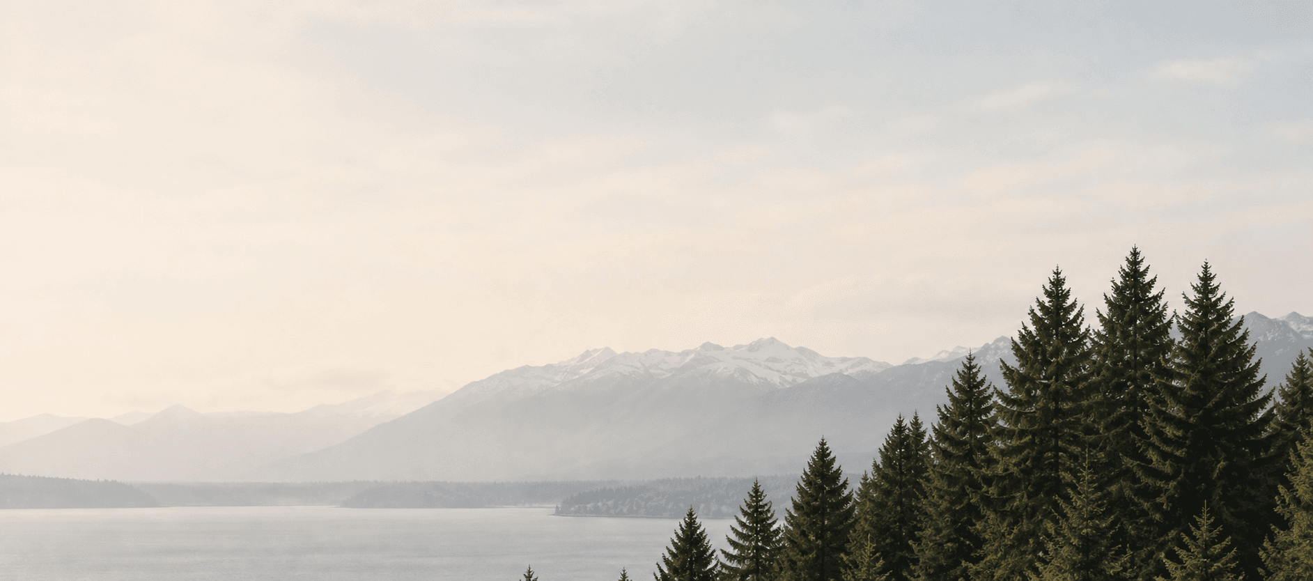 Cascade mountain view framed by evergreen trees